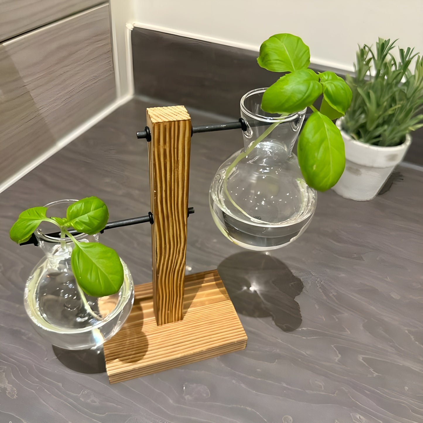 Hydroponic Plant Pot - Plant Propagation Station Hydroponic Gardening Indoor Plant Cuttings Vase Wooden Frame Glass Glass Desk Plant Vase