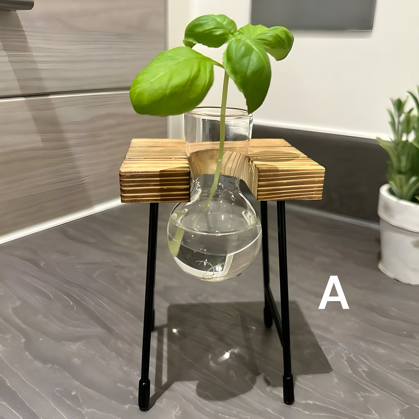 Hydroponic Gardening - Plant Propagation Station Glass Desk Plant Indoor Hydroponic Plant Pot Wooden Frame Plant Cuttings Glass Vase