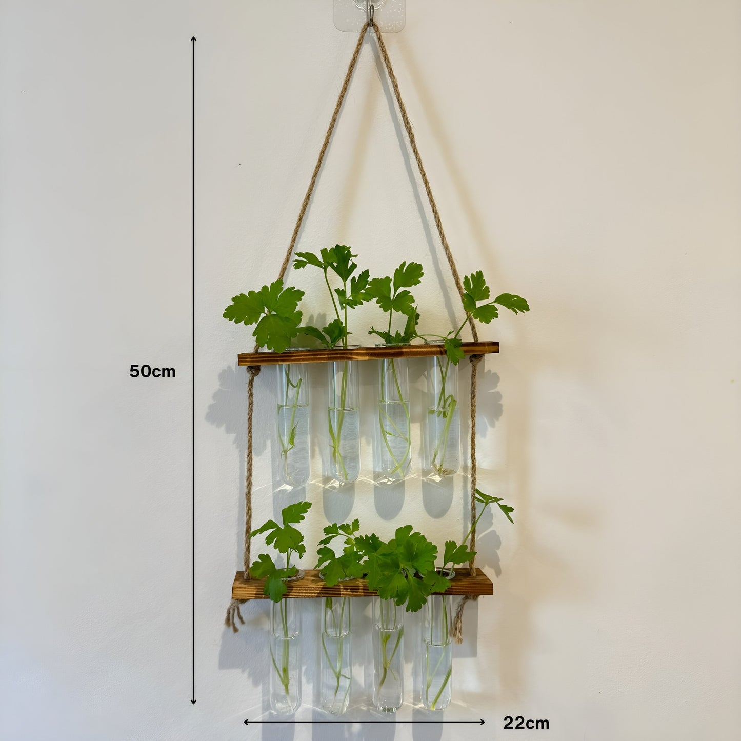 Testtube Vases Hanging Hydroponic System, Test Tube Propagate Plant Clipping Pothos Wall Propagation System