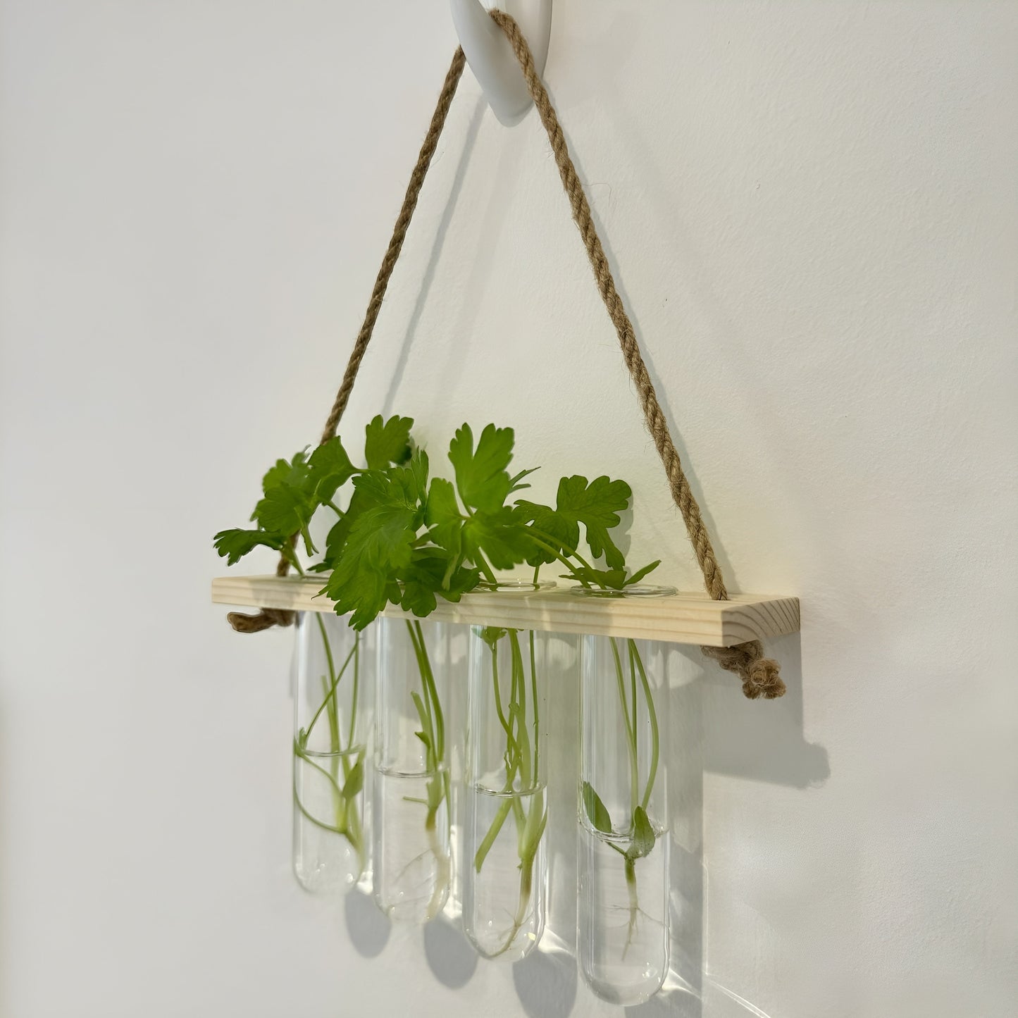 Testtube Vases Hanging Hydroponic System, One-Tier Test Tube Propagate Plant Clipping Pothos Wall Propagation System