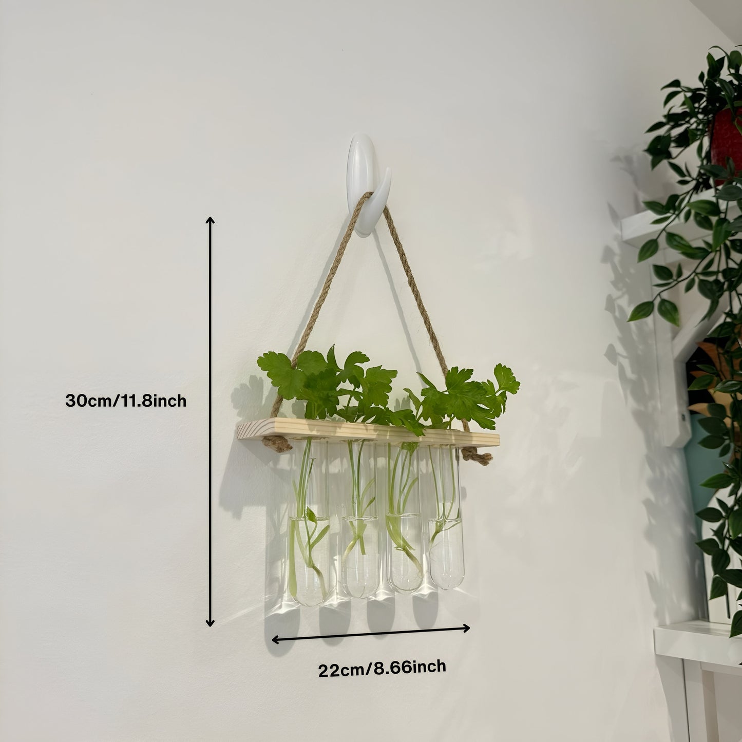 Testtube Vases Hanging Hydroponic System, One-Tier Test Tube Propagate Plant Clipping Pothos Wall Propagation System