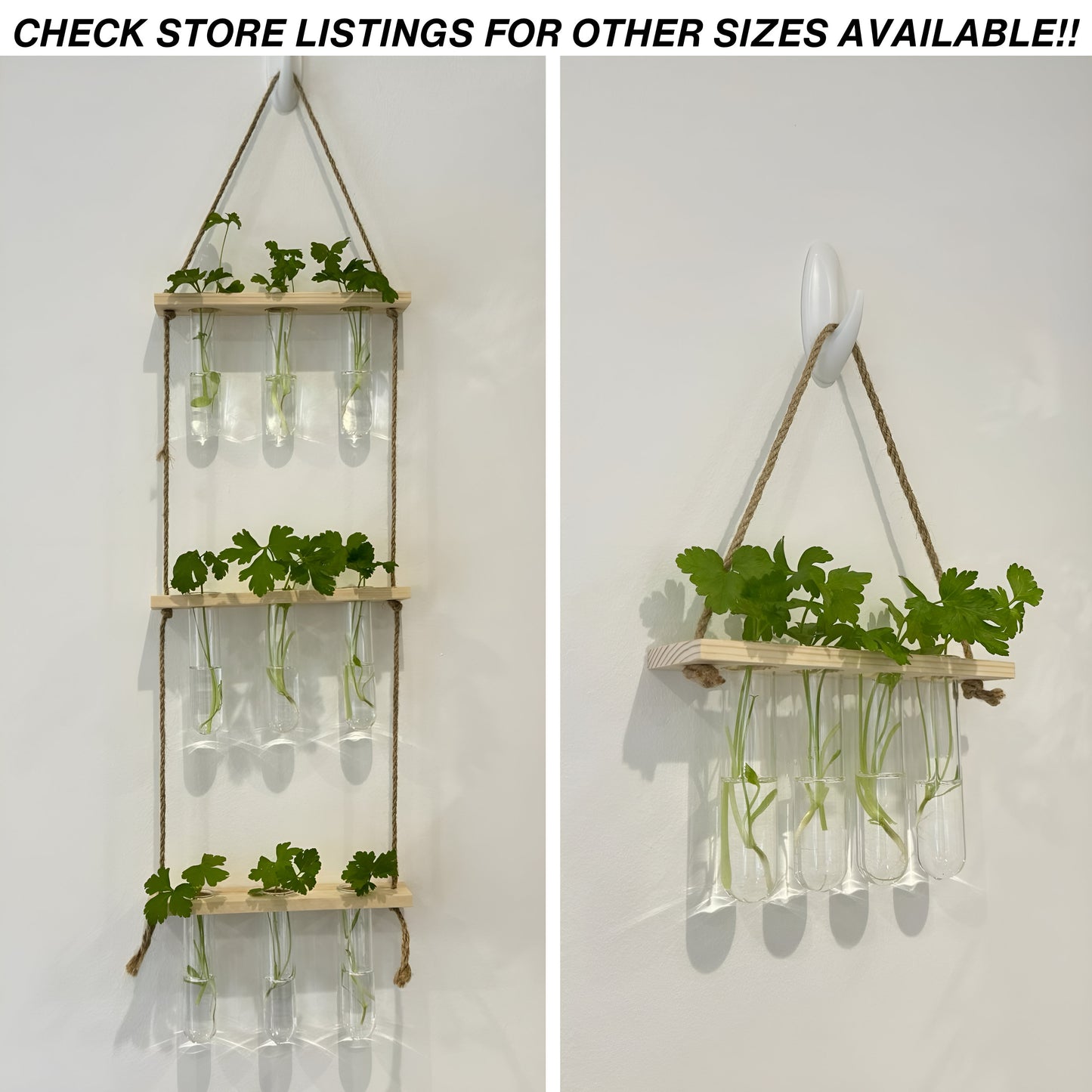 Testtube Vases Hanging Hydroponic System, Test Tube Propagate Plant Clipping Pothos Wall Propagation System