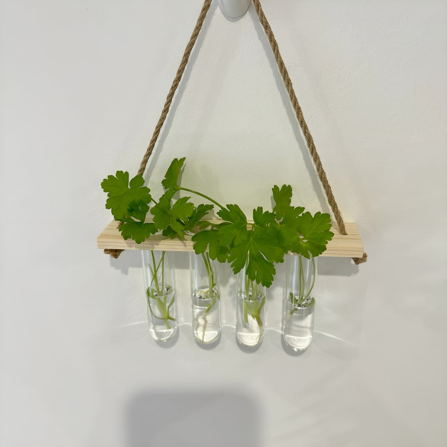 Testtube Vases Hanging Hydroponic System, One-Tier Test Tube Propagate Plant Clipping Pothos Wall Propagation System