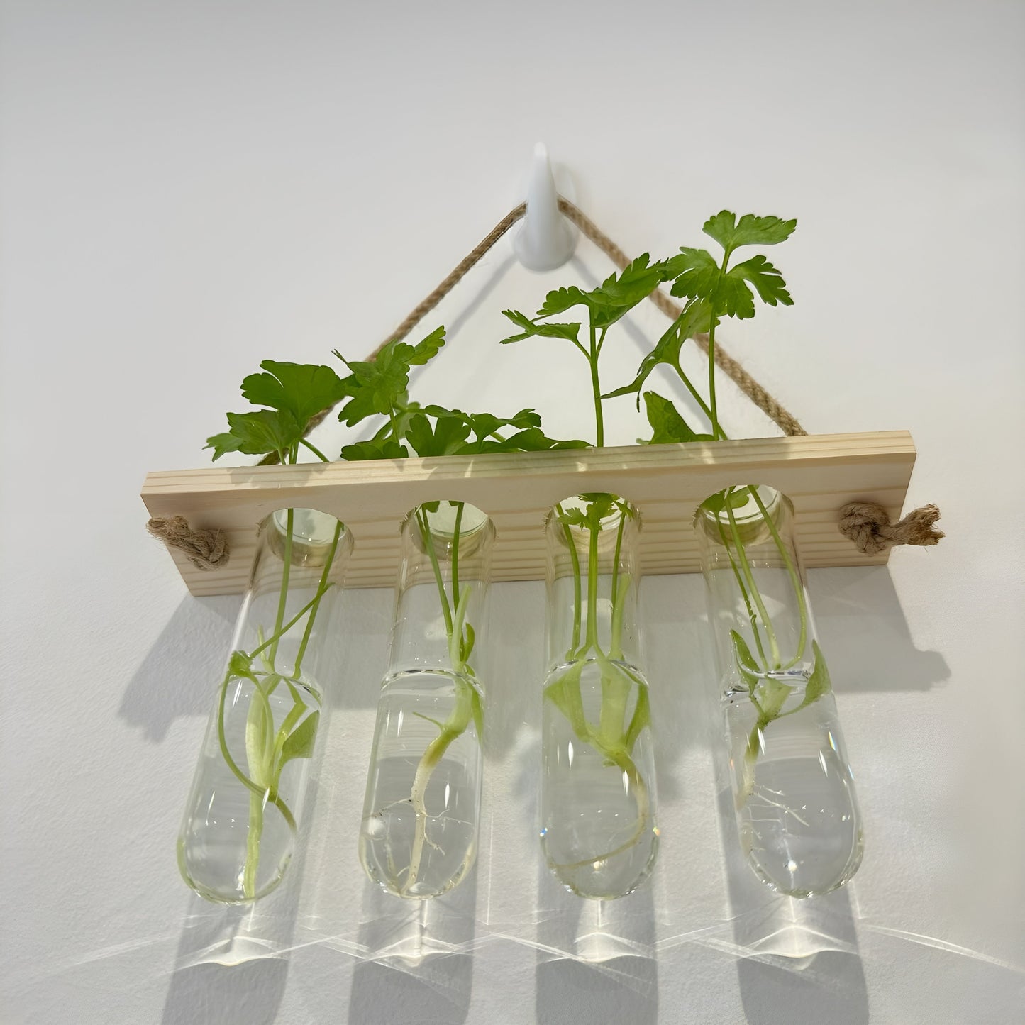 Testtube Vases Hanging Hydroponic System, One-Tier Test Tube Propagate Plant Clipping Pothos Wall Propagation System