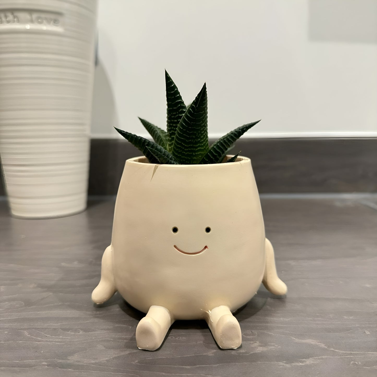 Smiley Face PlantPot - Handmade Cute Resin Sitting Smileyface Character Flower Pot Decorer Novelty Sitting Planter Decorative Plant Vase