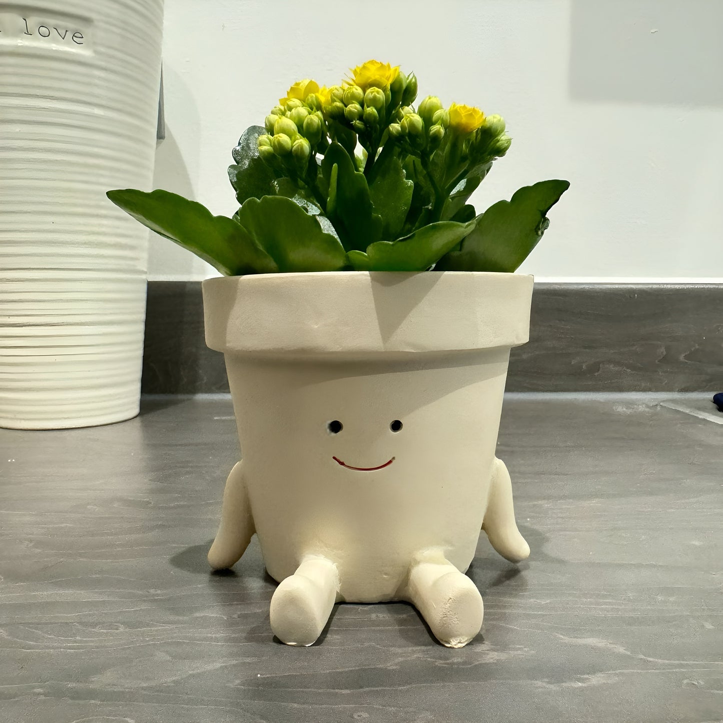 Smiley Face PlantPot - Handmade Cute Resin Sitting Smileyface Character Flower Pot Decorer Novelty Sitting Planter Decorative Plant Vase